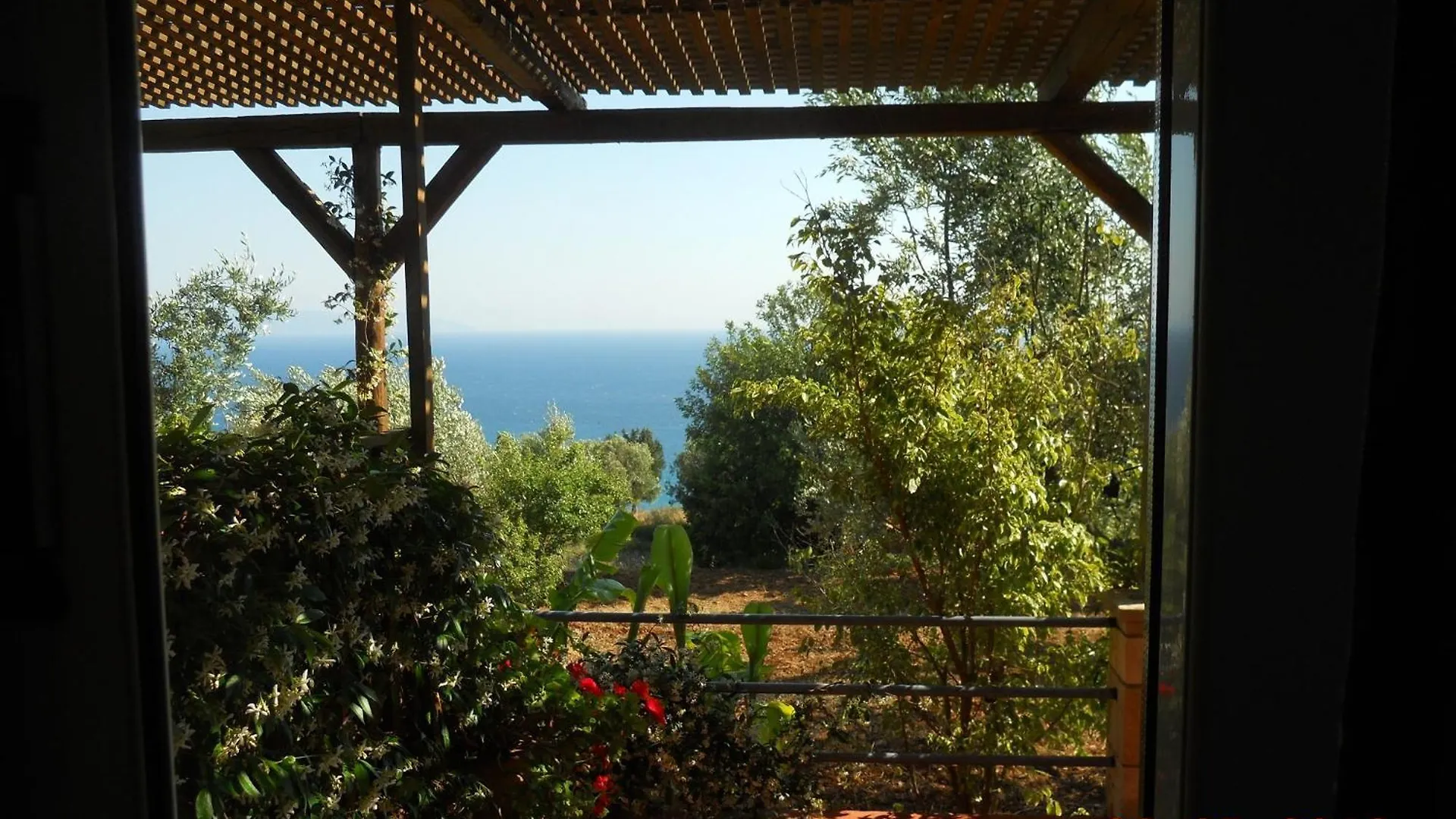 Δελφίνια Διαμέρισμα Βλαχάτα Ελλάδα