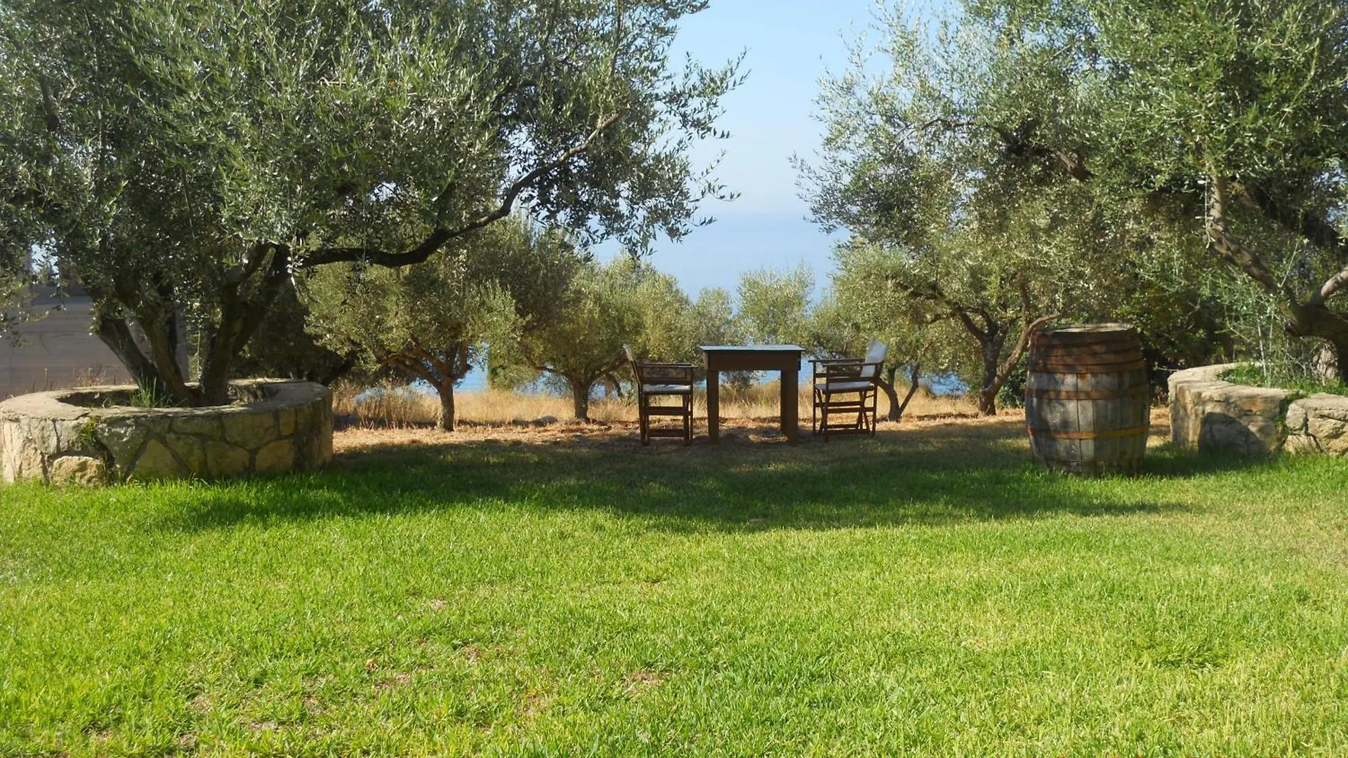 Δελφίνια Διαμέρισμα Βλαχάτα
