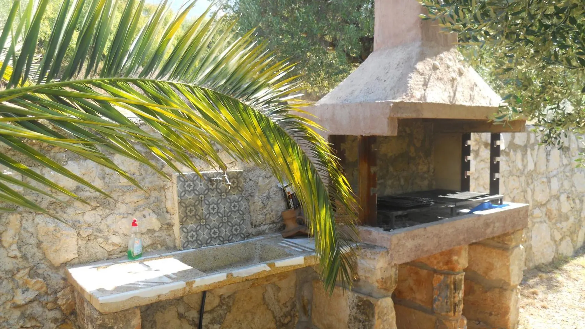 Δελφίνια Διαμέρισμα Βλαχάτα Ελλάδα
